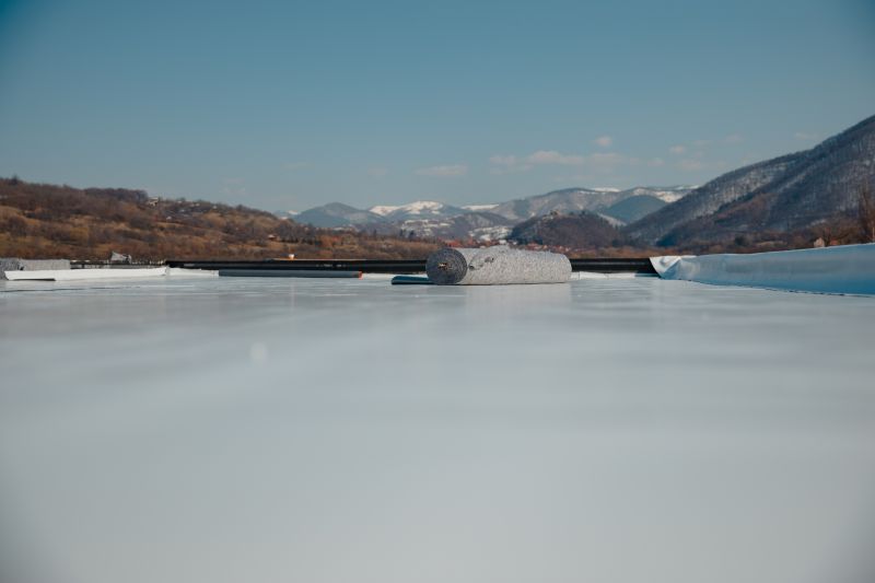 Flat Roof Waterproofing detail
