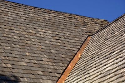 Shake Roof Replacement detail