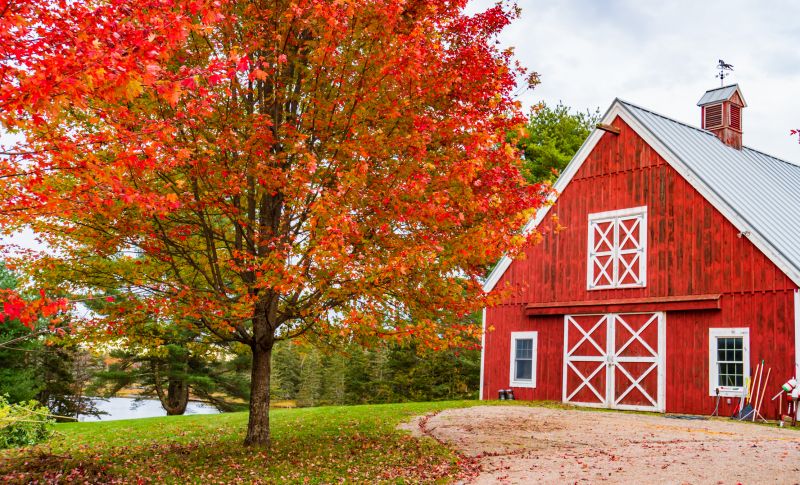 Pole Barn Roof Repair