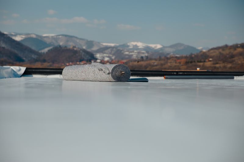 Tpo Roof Coating Service